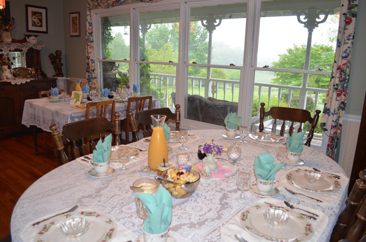 Blue Mountain Mist Country Inn Sevierville Extérieur photo